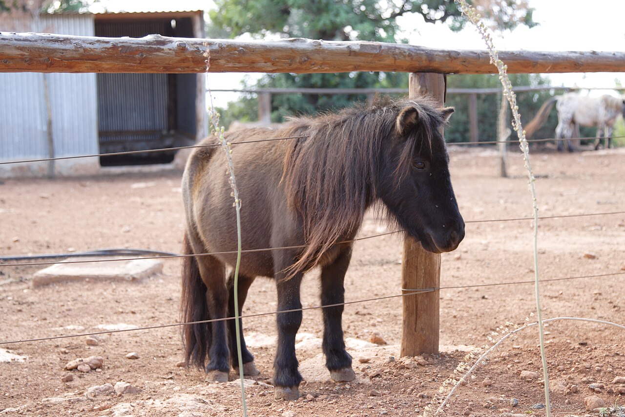 Paphos Zoo, Cyprus