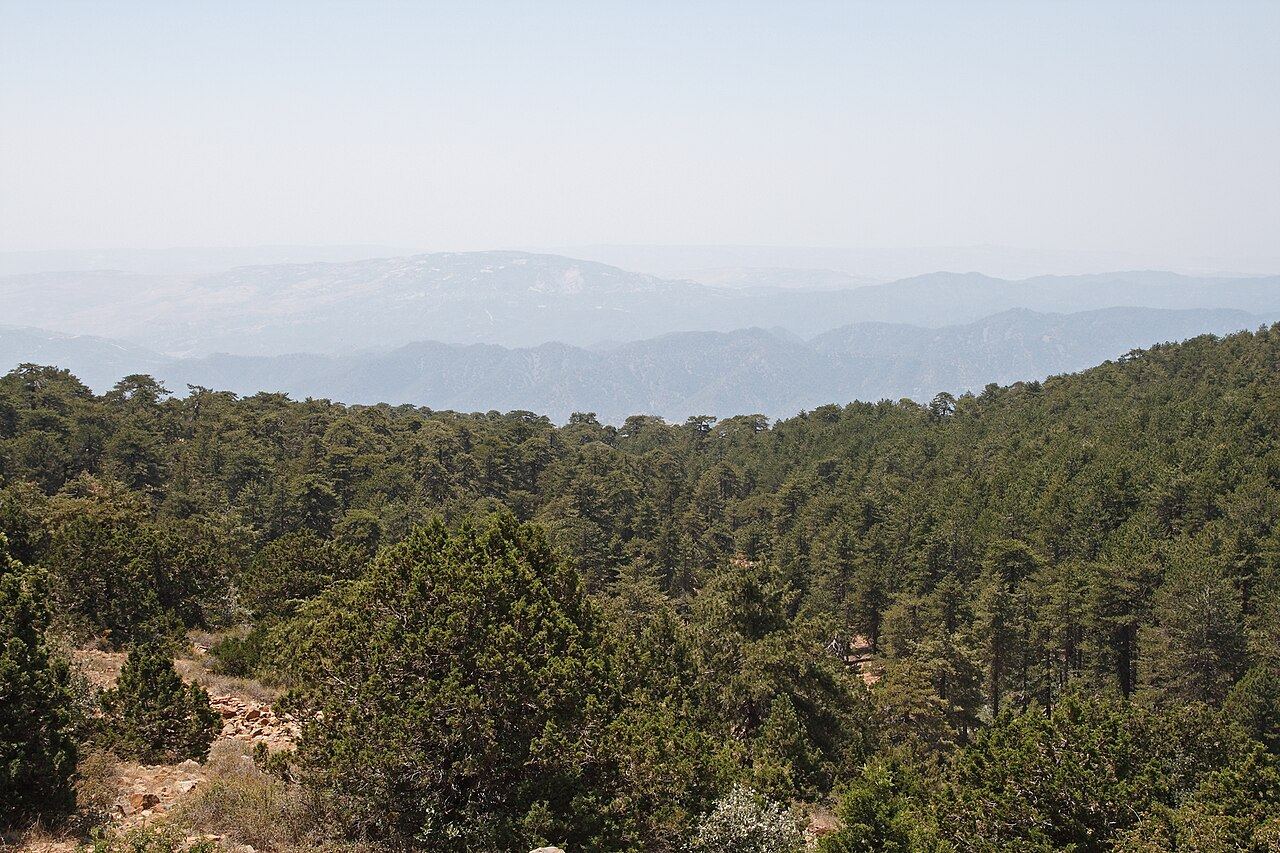 Mount Olympus, Troodos, Cyprus