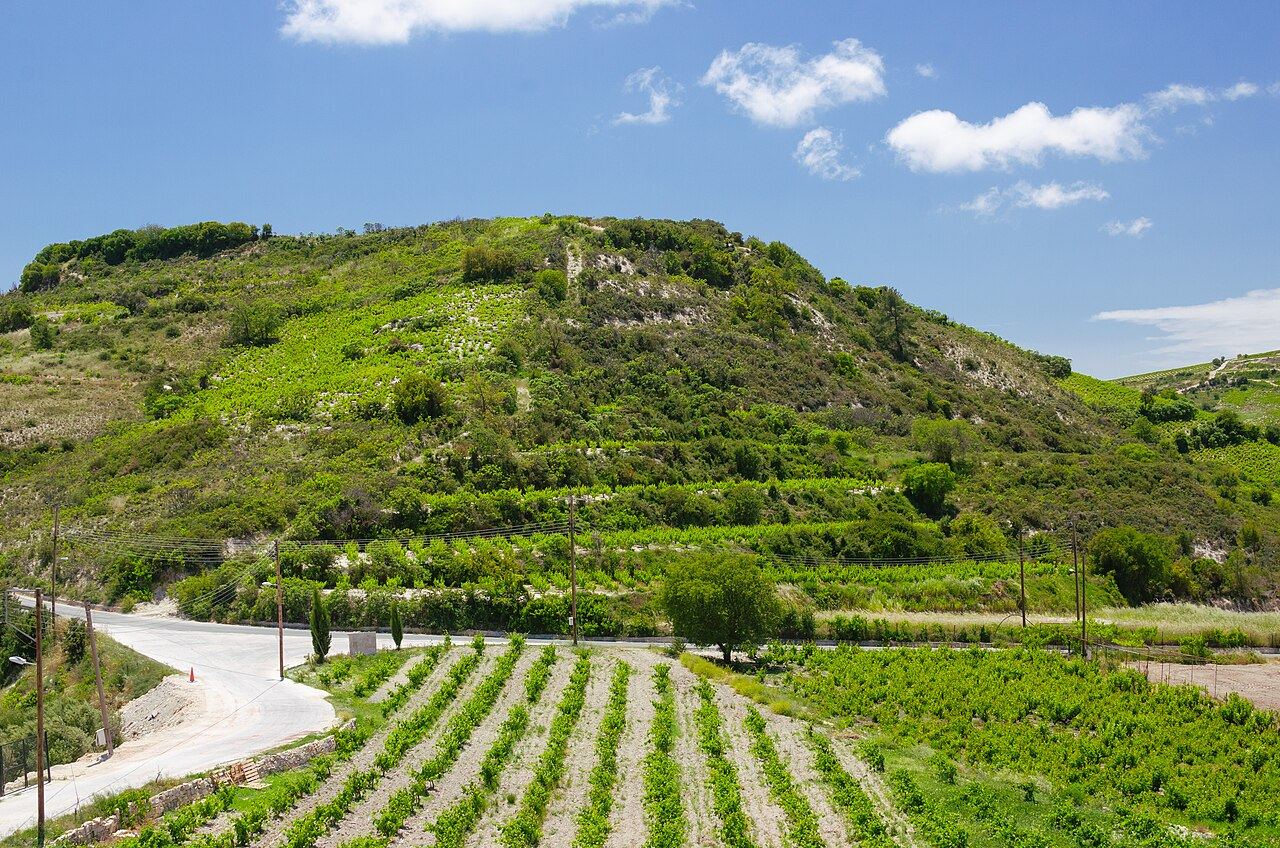 Cyprus Wine Museum (Erimi), Limassol, Cyprus